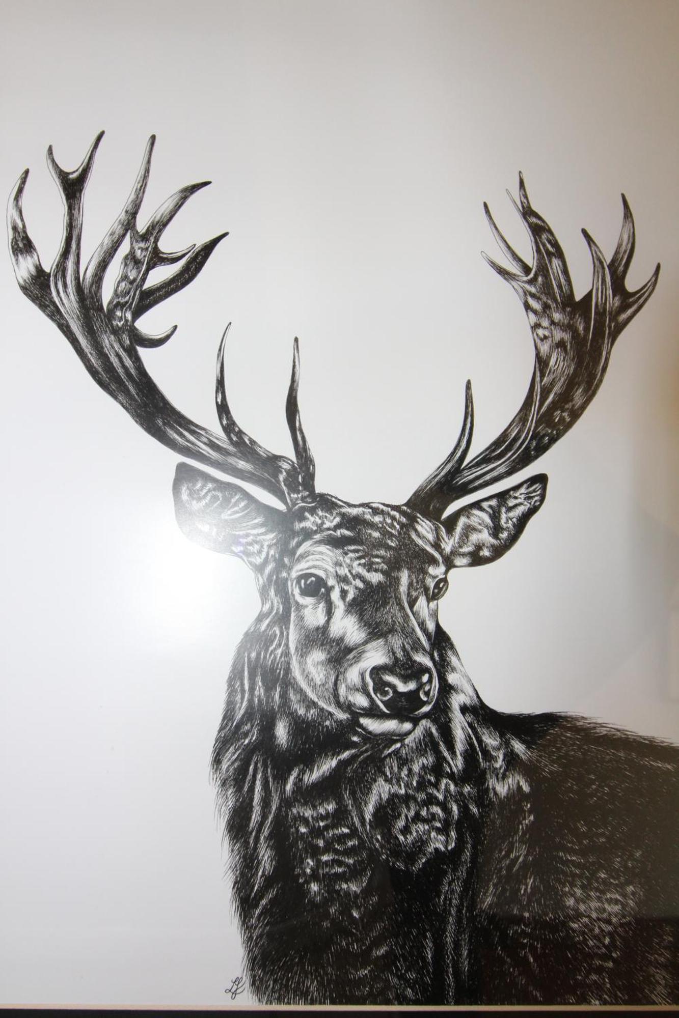 Melorne Farm Guest House Camelford Luaran gambar