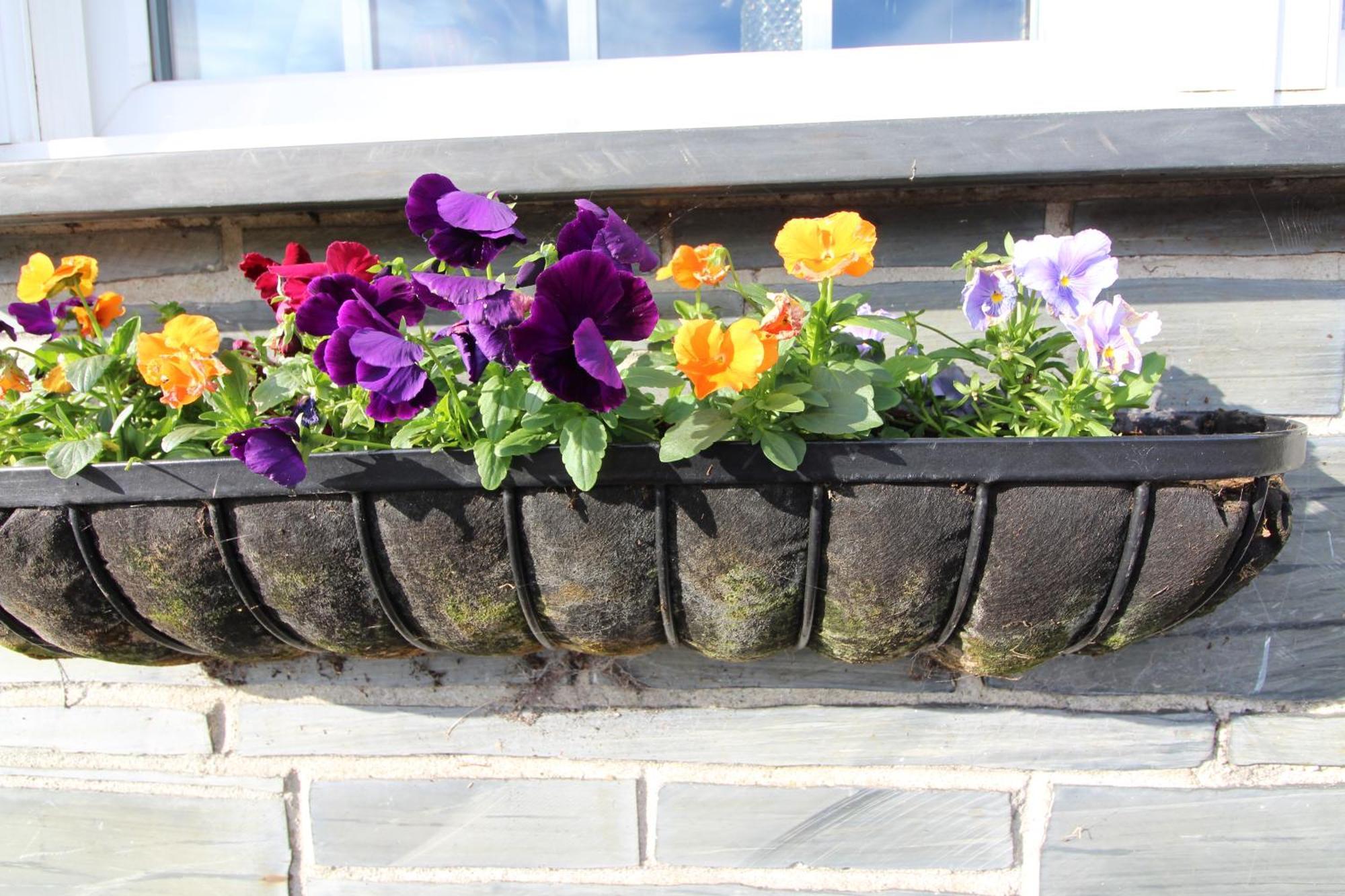 Melorne Farm Guest House Camelford Luaran gambar